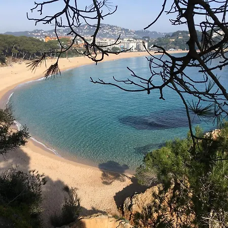 In Calella Near The Льорет-де-Мар