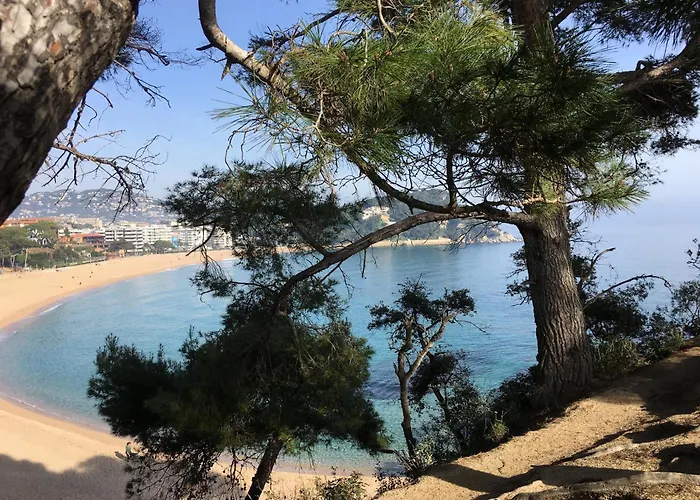 Apartmán In Calella Near The *