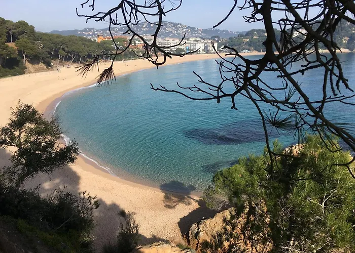 In Calella Near The Lloret de Mar