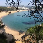 In Calella Near The Lloret de Mar