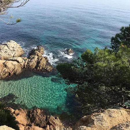 Lejlighed In Calella Near The *