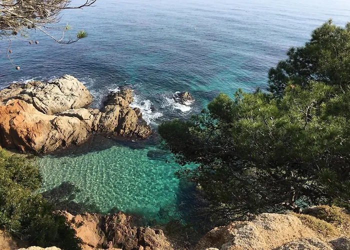 Lägenhet In Calella Near The *