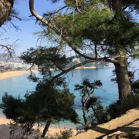 Apartment In Calella Near The *