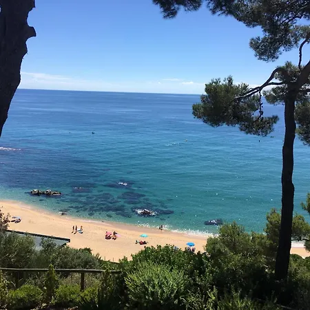 Apartment In Calella Near The