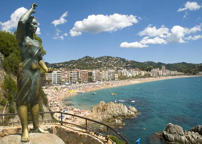 公寓 In Calella Near The *