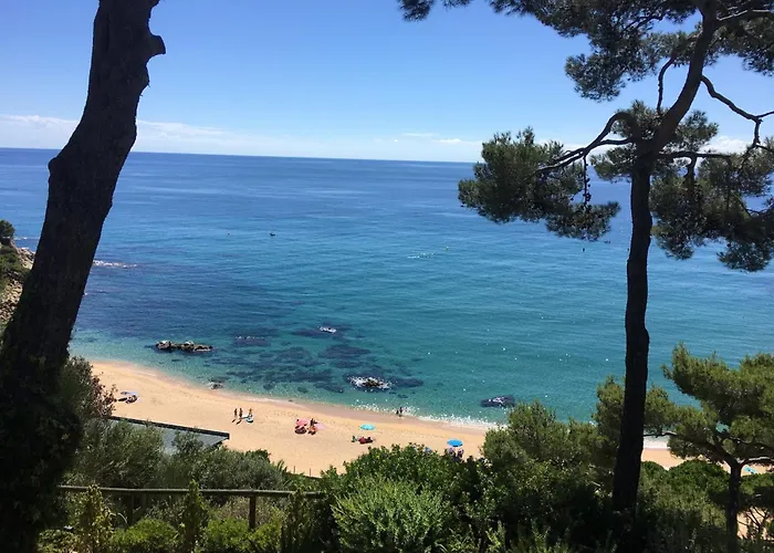 Apartment In Calella Near The